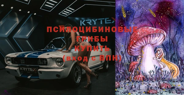 героин Алексин