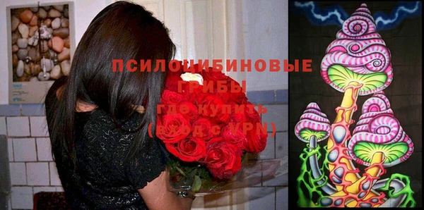 прущий лед Алзамай